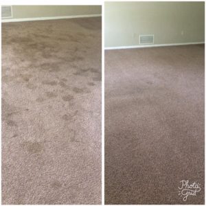 Orlando carpet cleaning