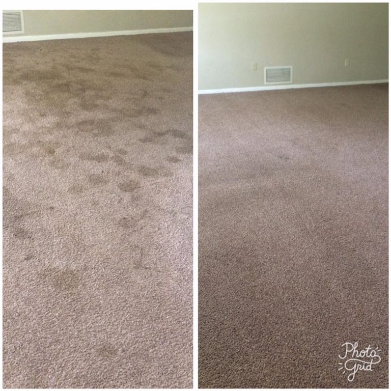 Orlando Carpet Cleaning 3 Hacks To Remove Stains