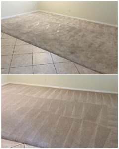Casselberry carpet cleaning