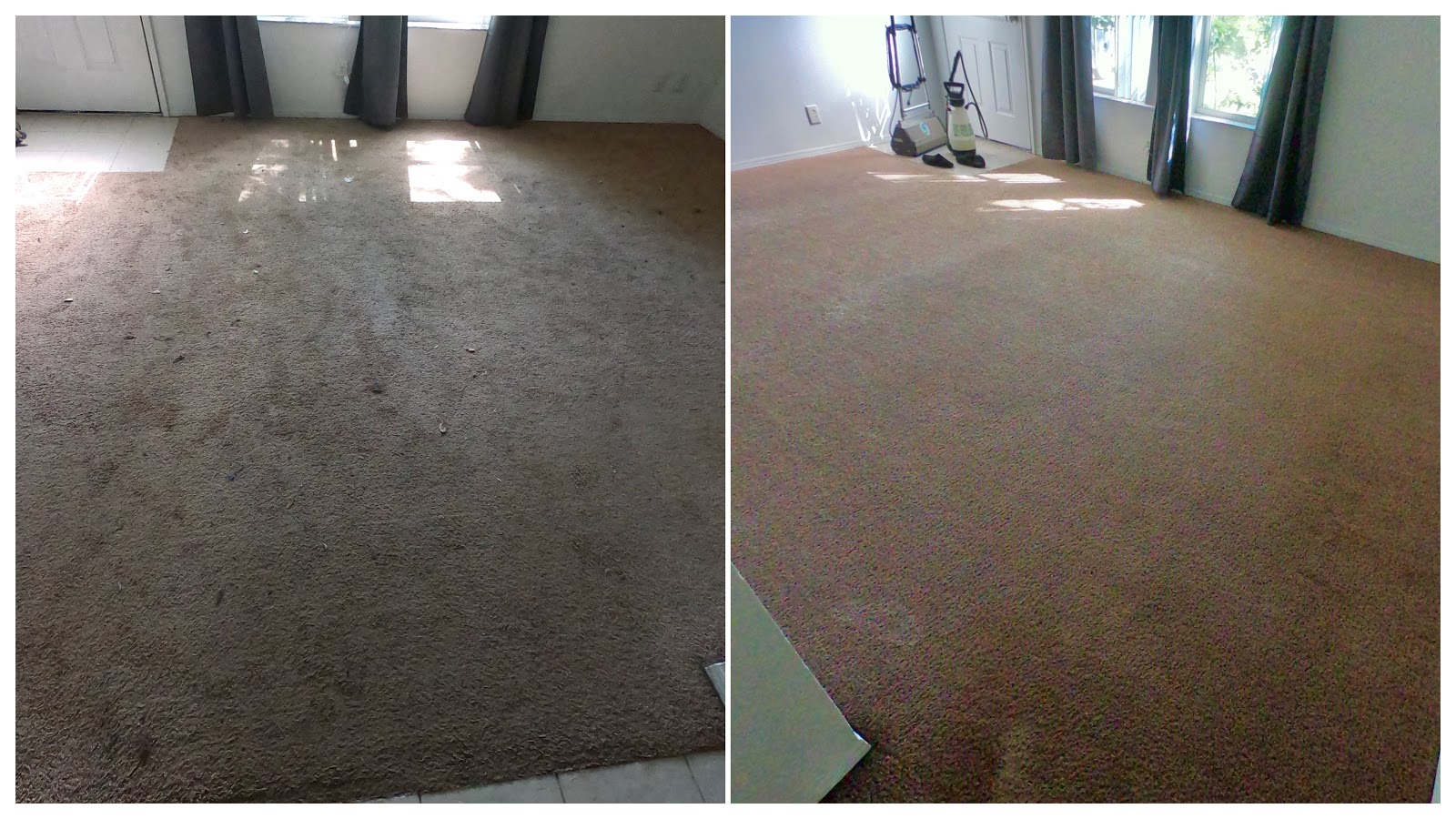 Orlando Carpet Cleaning 3 Hacks To Remove Stains