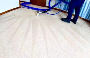 Altamonte Springs Carpet cleaning