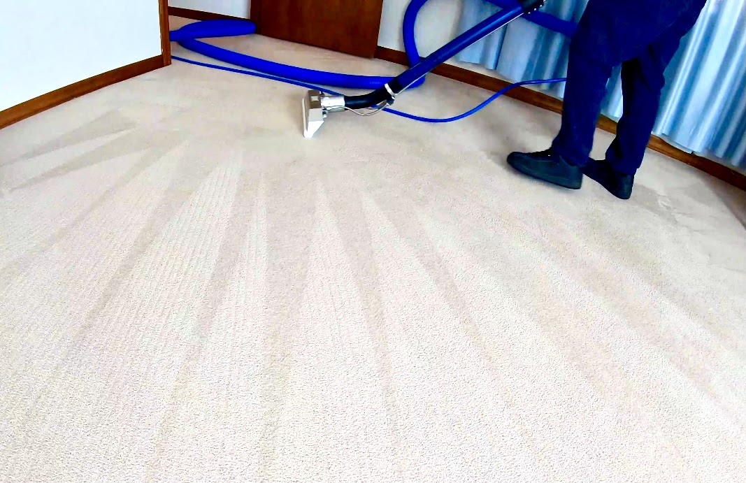 Altamonte Springs Carpet Cleaning How To Prepare